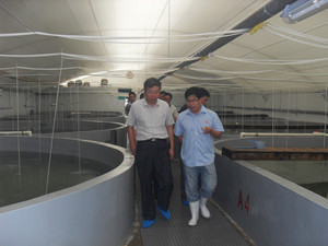 <span class=keywords><strong>Peinture</strong></span> Baekland imperméable et résistante à l'usure pour bassins et piscines, idéale pour l'élevage de poissons Koi et crevettes, application sur bateaux. - Product Image 3