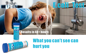 Le Kit de Test d'eau détecte l'utilisation d'e. Coli et de coliformes dans l'eau potable, les puits, les piscines - Product Image 6