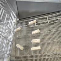 Machine à pâte commerciale |   Applicateur automatique de pâte pour panure et tempura pour poulet, crevettes, légumes