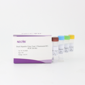 DHV-1 형광 RT-PCR 검출 키트 | 오리 간염 바이러스 유형 1 | 프로브 기반 qPCR - Product Image 2