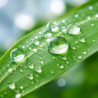 Adsorbant PVPP industriel pour la purification avancée de l'eau et l'élimination des métaux lourds
