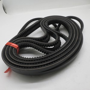 Cinghia motore più venduta 17 ax1029le 308032-M10-01085 - Product Image 4