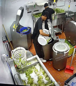 Lavadora Ultrasónica de Burbujas para Ensaladas de Verduras a Pequeña Escala, Secadora Centrífuga, Conjunto de Máquinas con Motor, Suministro Directo de Fábrica 400-600kg/h - Product Image 3