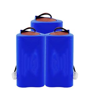 カスタマイズ容量DIY 18650リチウム電池パック 3.7V 7.4V 11.1V 12V 24V CE認証取得 電気自動車/太陽光発電用 - Product Image 2