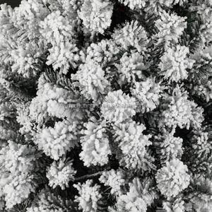 Vente Flash : Sapin de Noël Artificiel Blanc de Haute Qualité, Écologique, avec Neige Artificielle, en PVC Vert, Vente en Gros - Product Image 6