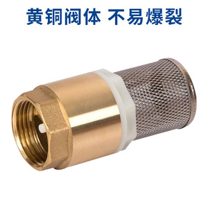 Vanne de retenue Yuhuan 1 pouce en alliage de cuivre avec filtre pour pompe à eau, utilisation à basse température - Product Image 2