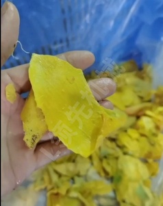 آلة إزالة بذور المانجو/صانع عصير المانجو للاستخدام في مصانع لب المانجو - Product Image 5