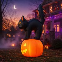 Décoration de jardin d'Halloween en forme de chat noir gonflable LED sur mesure