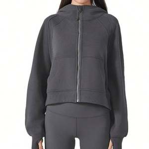 Pullover Embroidery Solid Color Plain Beige French Terry Hip Hop Loose <b>Long</b> Sleeve Fleece Zip Oversized <b>Sweatshirt</b> <b>Women</b> - Product Image 3