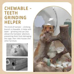 Holz-Kletterzweige für Hamster, Natürliche Holzspielzeuge zum Klettern und Kauen für Syrische Hamster, Übungsspielzeug für Ratten - Product Image 3
