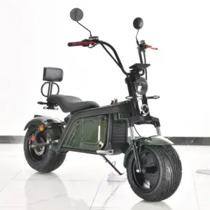 Europe Warehouse UPS Fast Shipping Fat Tire Electric Scooter