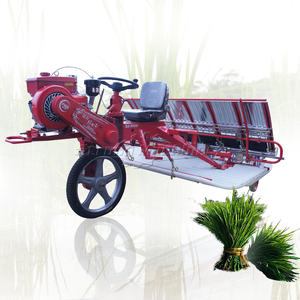 4 rowa 6 rangées prix du transplanteur de riz machine de repiquage de riz paddy pour l'Inde - Product Image 2
