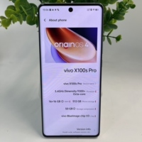 Venta al por Mayor de Teléfonos Inteligentes ViVo X100S Pro Usados, 12 GB de RAM, Pantalla AMOLED 2K de 6.78 Pulgadas y 120 Hz, Dimensity 9300 Plus, Cámara de 50 MP, Batería con Carga de 100 W, 5G