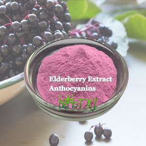 Approvisionnement direct d'usine 100% poudre de fruit de sureau soluble dans l'eau/poudre de jus de sureau/poudre de sureau - Product Image 2