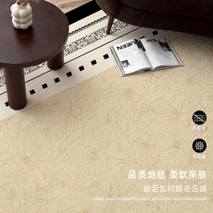 EIFFEL HOME Tapis de salon grande surface, couverture complète, imperméable, lavable, antidérapant, couleur unie, fibre de polyester - Product Image 4