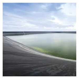 HDPE Geomembrane 0.5mm 0.75mm Pond Liner for Fish Farming Dam Water Tank