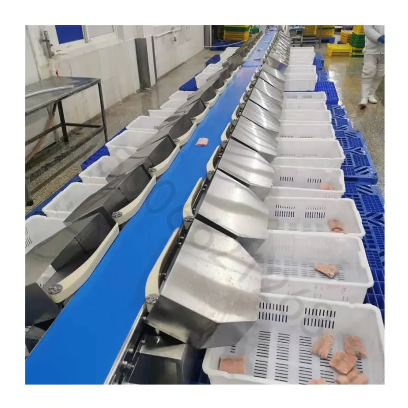 Stainless Steel Touch screen control weight grading machine belt type smart seafood fish size sorting machine