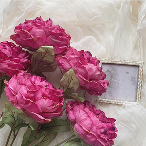 Ramo de Peonías de Seda para Decoración de Bodas, Accesorios para Fotografía de Celebridades de Internet, Flores Artificiales Decorativas para Sala de Estar - Product Image 3