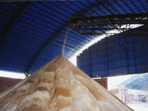Il più grande fertilizzante per l'agricoltura del calcare P2O5 della miniera di fosfato di roccia usa 28% 30% in sabbia e polvere - Product Image 2