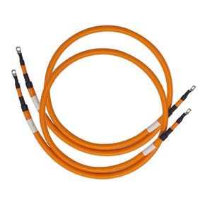 Dây Nịt Xe Hơi Năng Lượng Mới Lắp Ráp Cáp EV Điện Trung Quốc MFG - Product Image 1