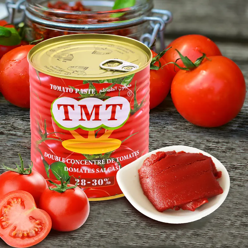 Aseptic tomato paste tomatoes in Factory with best price in different sizes 28-30% concentrate
