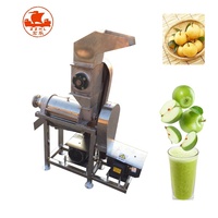 Machine à jus de fruits commerciale de haute qualité, presse à froid industrielle pour jus de fruits, extracteur à vis pour jus de mangue