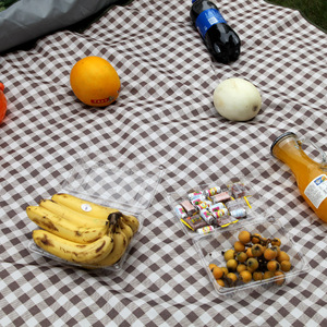 Trendige Karierte Picknickdecke Outdoor Feuchtigkeitsabweisende Matte Frühlingsausflug Rasenmatte Camping Picknicktuch Tragbar mit Griff Strandmatte - Product Image 4