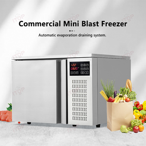 フリースタンディングチェストフリーザー3プレートフリーザー,単一温度商用冷凍 - Product Image 2