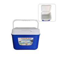 Glacière isotherme portable de 13 L au design moderne, prix usine, pour garder les glaces et les crèmes au frais