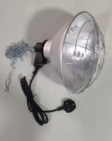 Lampe chauffante pour poussins, chauffage avicole à économie d'énergie, équipement de chauffage professionnel pour poulailler