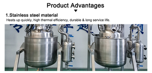 Automatic Reaction Kettle with Motor for High-Yield Crystal Growth - Product Image 3