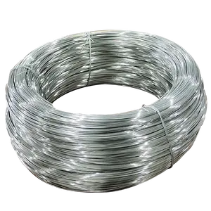 Câble métallique en acier inoxydable de 1.2mm de diamètre Aisi 201 304 316 Ss cordes en acier pour pétrochimie