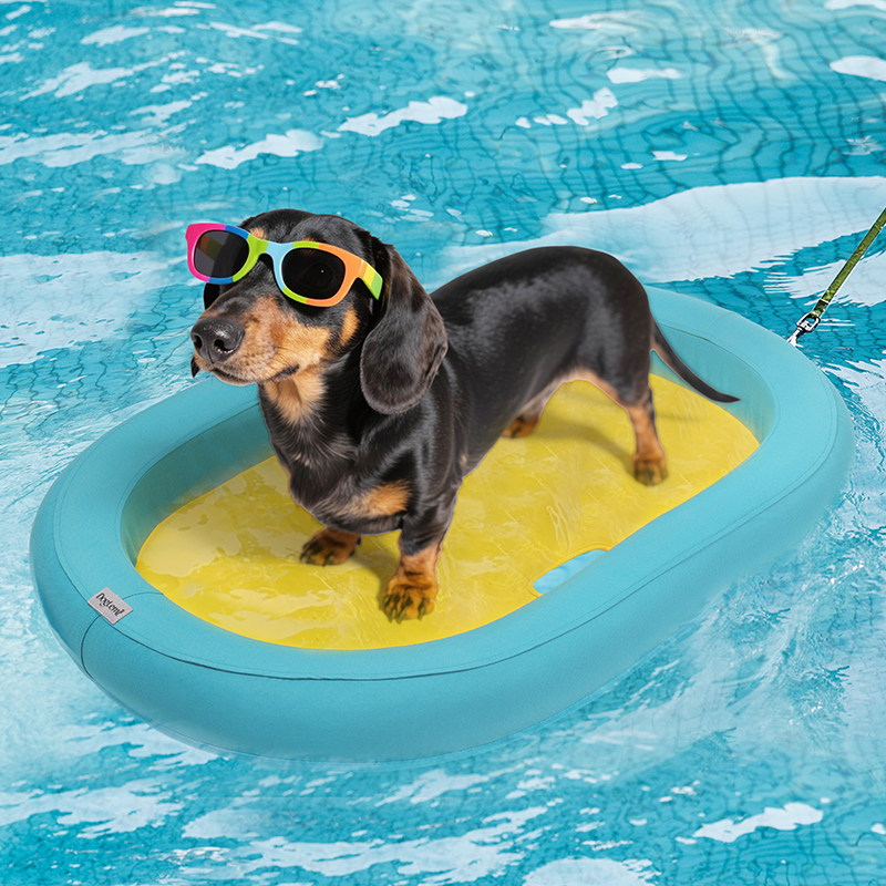 FBSPORT – Rampe Flottante Gonflable Pour Chien – Plateforme EVA Antidérapante – Pour Piscine, Lac, Mer – Capacité 150 Kg