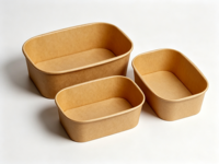 Vaisselle jetable personnalisable, biodégradable et compostable pour écoles et hôpitaux, bol à salade jetable, bols jetables