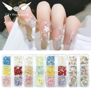 Kit di Accessori per Decorazioni Unghie 3D CY con Piccoli Fiori in Resina per Nail Art - Product Image 3