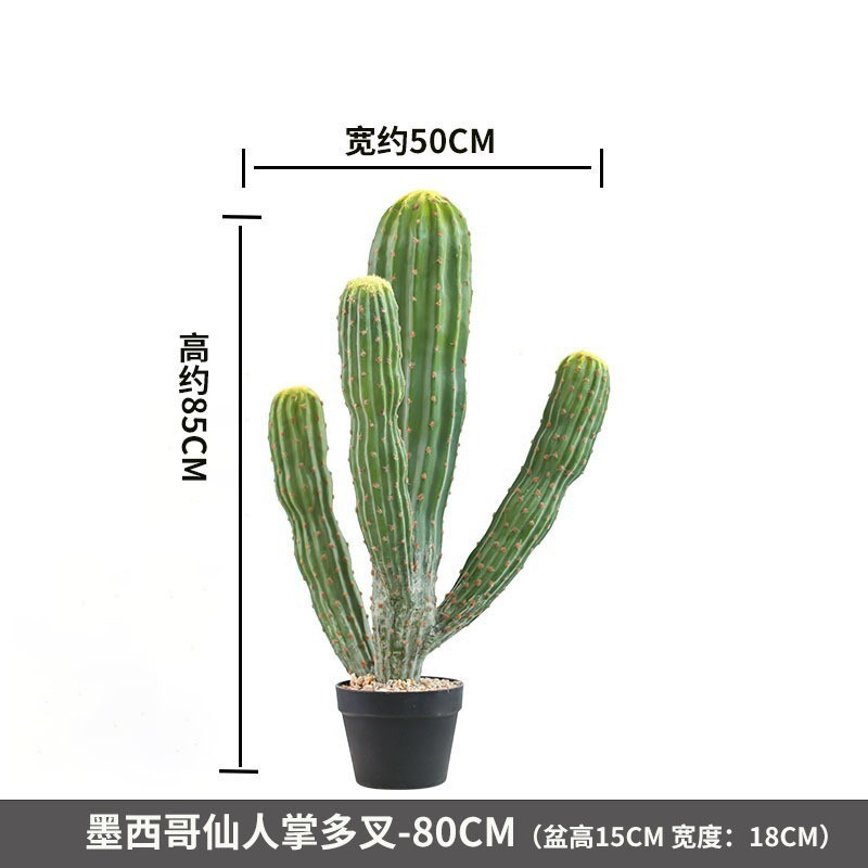 Cactus mexicain à branches multiples - 80CM