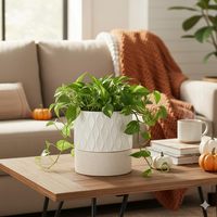 Pot de plante auto-arrosant de 6 pouces au design moderne avec trou de drainage et réservoir d'eau pour une utilisation intérieure et extérieure, blanc crème, brun