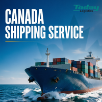 Services logistiques stables Chine-Canada DDP Fret maritime porte-à-porte LCL Express Inspection de la qualité et service de reconditionnement