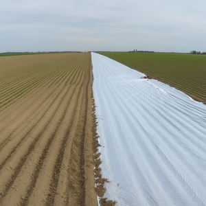 Cubierta Agrícola Impermeable Elástica de Material No Tejido, Precio Razonable, Gran Venta 2023, Nuevo Material, Peso Pesado, <span class=keywords><strong>110</strong></span> GSM, para Plantas - Product Image 4