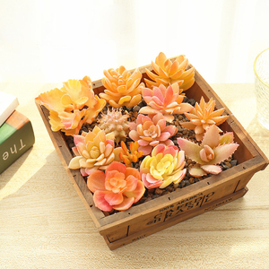 Teste di <span class=keywords><strong>Fiori</strong></span> in Plastica Floccata Serie Gialla, Accessori Creativi per Piante <span class=keywords><strong>Succulente</strong></span>, Decorazioni per Pareti e Casa - Product Image 5
