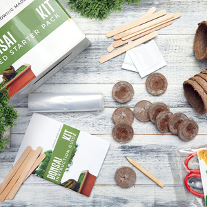 <span class=keywords><strong>Kit</strong></span> de bonsái para principiantes con herramientas simples y completas - Product Image 3