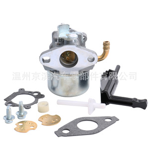 Carburateur Briggs Stratton C6-798653 pour 798653 697354 791077 790290, pièce de rechange mécanique - Product Image 3