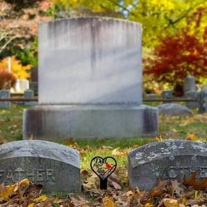 Lapide con inserto per pavimento in acrilico simpatizza il memoriale per i giardini del Patio esterno o i cimiteri per animali domestici - Product Image 4