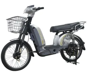 Nieuwe Ontwerp Heavry Laden Elektrische Fiets 60V 12Ah 48V12AH Pedaal Bijgestaan Elektrische Scooter