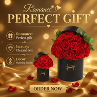 Valentijnsdaggeschenken, cadeauset, cadeauverpakking voor Valentijnsdag, geconserveerde rozen in doos