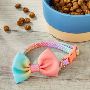 Vibrant Life Ombre 3D <b>Bow</b> Tie Fashion Dog Collar, Multicolored, Small - Product Image 2