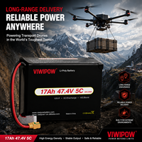 OEM/ODM Tersedia Baterai Drone Lithium Semi-Solid 17000mah 12S 5C Bersertifikasi CE untuk Drone Logistik Angkut Berat