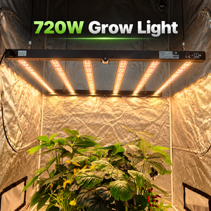 Lampe de culture LED horticole 720W, spectre complet, pour serre commerciale, haute performance PPE, dimmable 0-10V, IP65 - Product Image 2