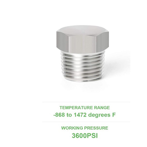 ปลั๊กอุดท่อหกเหลี่ยมภายนอกสแตนเลส 304 ขนาด 1/8" 1/4" 3/8" 1/2" NPT สำหรับแรงดันสูง ป้องกันการรั่วซึม สำหรับดัดแปลงรถยนต์/มอเตอร์ไซค์ - Product Image 4