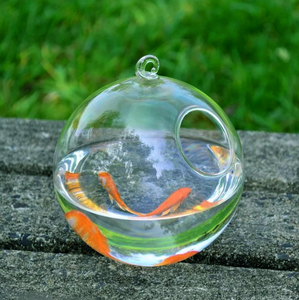 Boule en verre Transparent aquarium suspendu maison poisson bouteille Vase poisson réservoir - Product Image 4